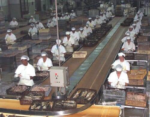 Conserveiras nos Açores