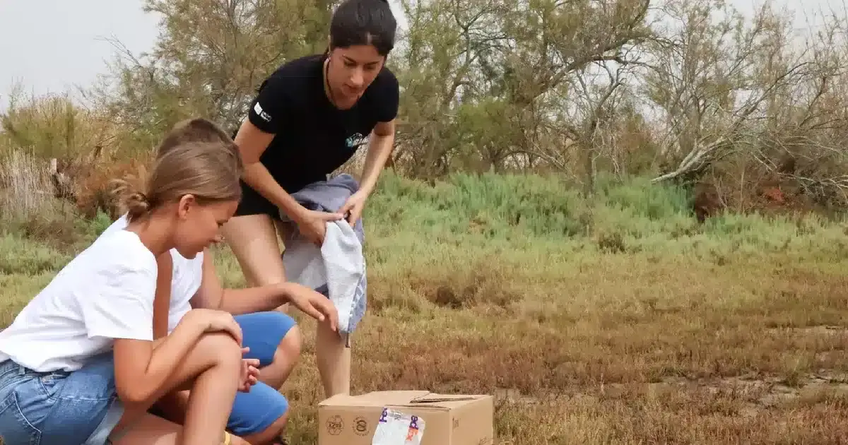 RIA Olhāo - franceses