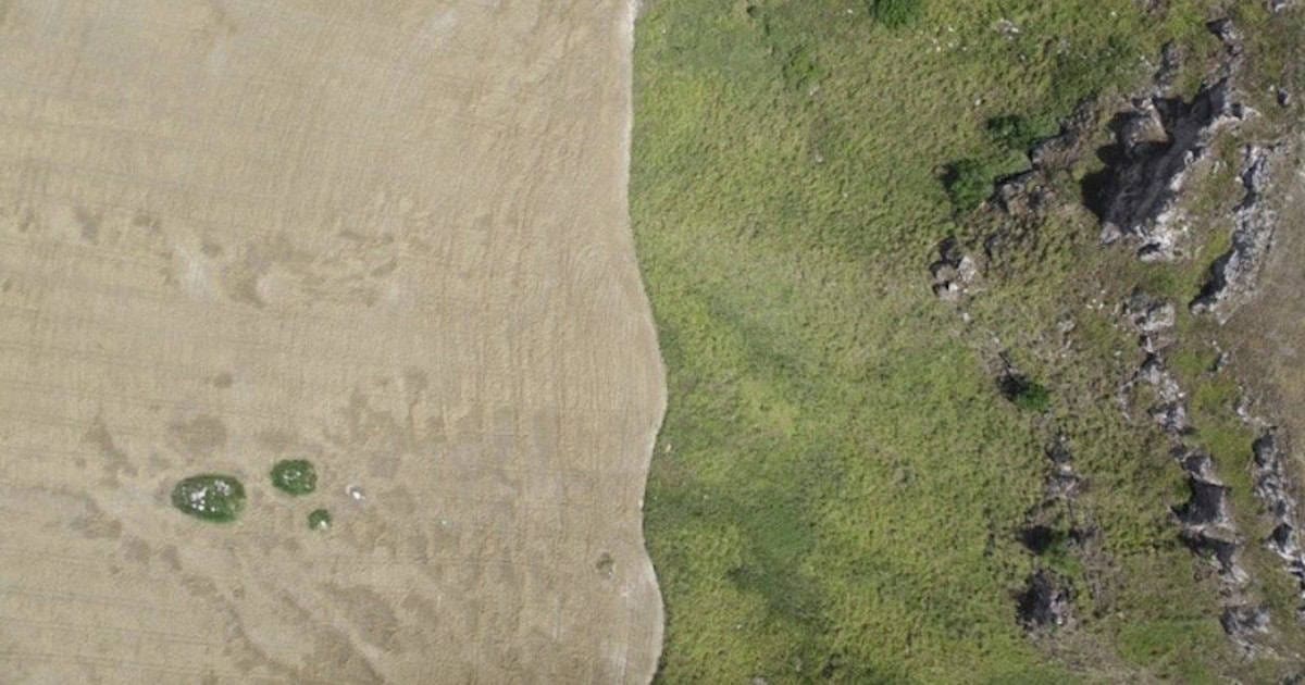 Vista aérea de campo agrícola e área verde natural.