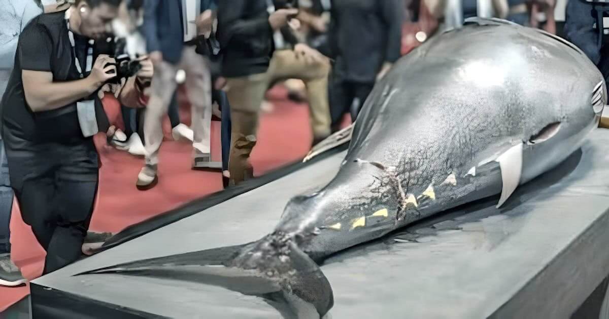 Exposição de réplica de tubarão, pessoas fotografando.