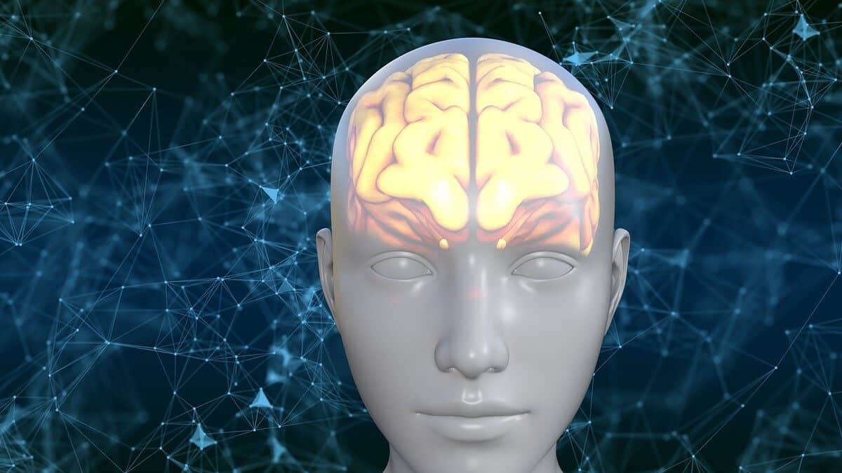 human, brain, avatar, biology, thoughts, knowledge, person, head, think, thinking, human brain, mind, brain, brain, human brain, human brain, human brain, human brain, human brain-5937759.jpg