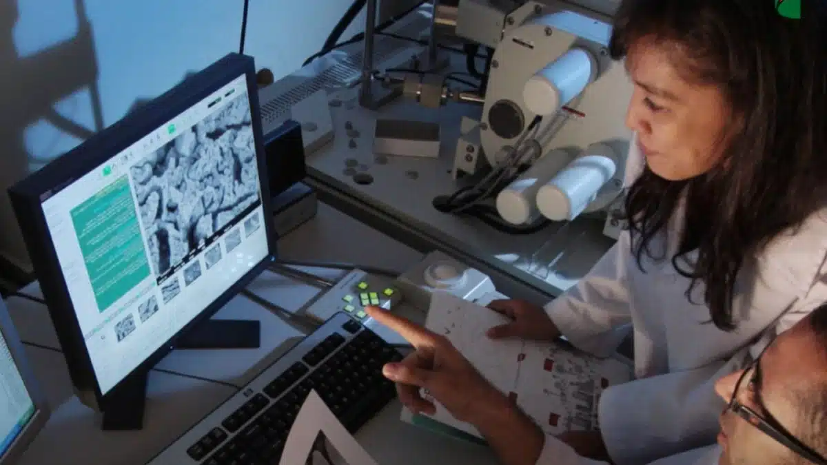 Gambelas - Edifício Digital