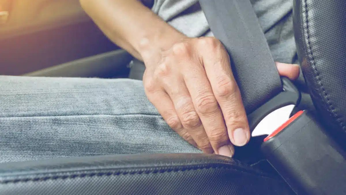 cinto-de-segurança - Copilot