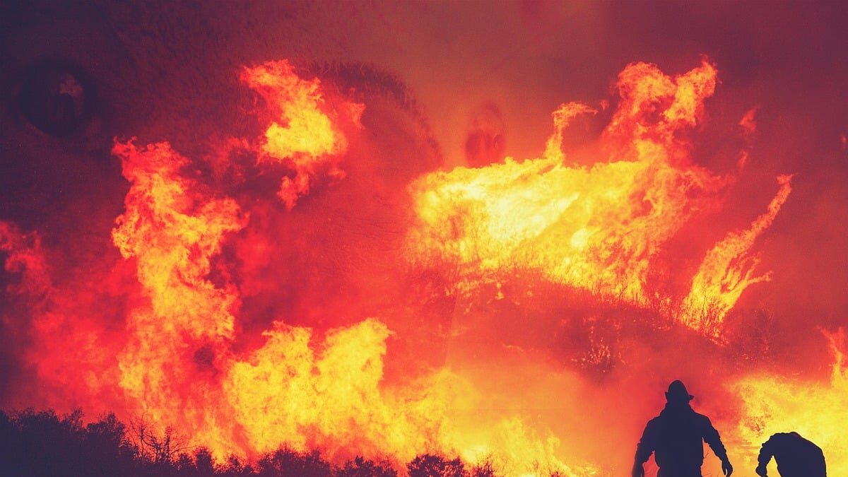 fire, flames, trees, nature, forest, destruction, people, firefighters, rescue-5604682.jpg