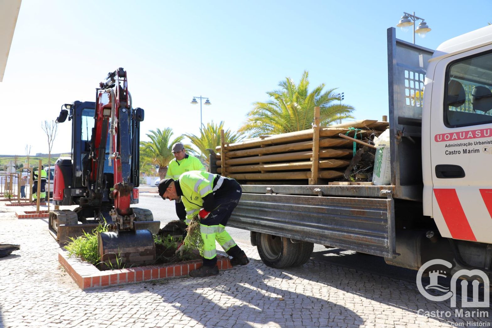 CM Castro Marim planta árvores